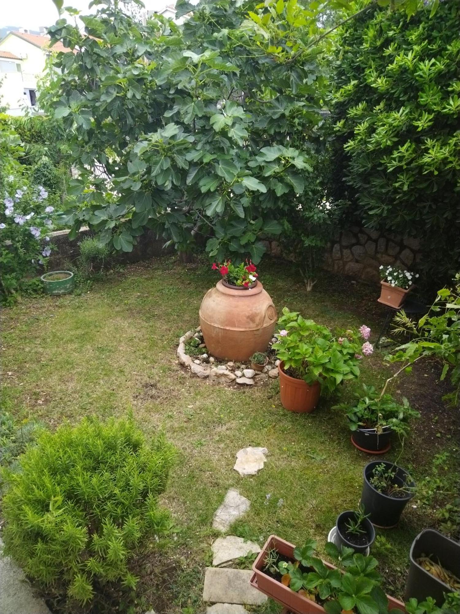 קראליביצה Apartman Seka מראה חיצוני תמונה