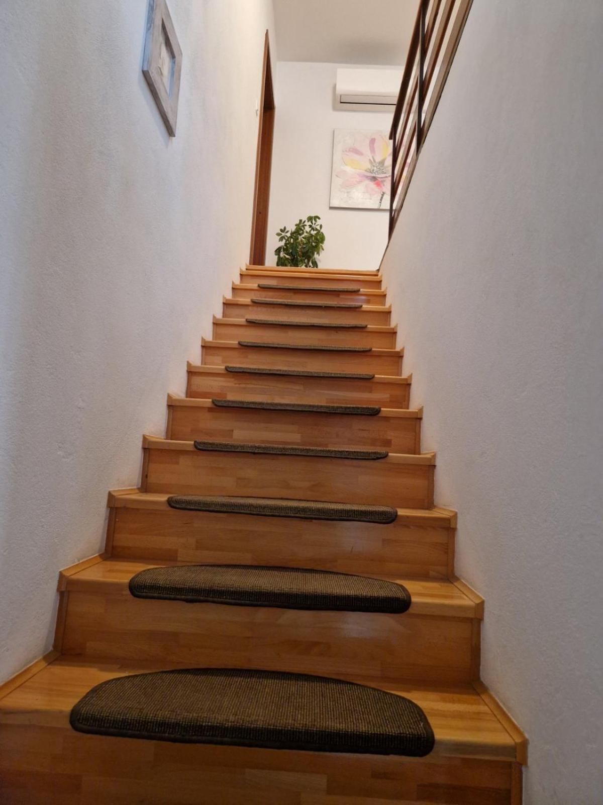 קראליביצה Apartman Seka מראה חיצוני תמונה