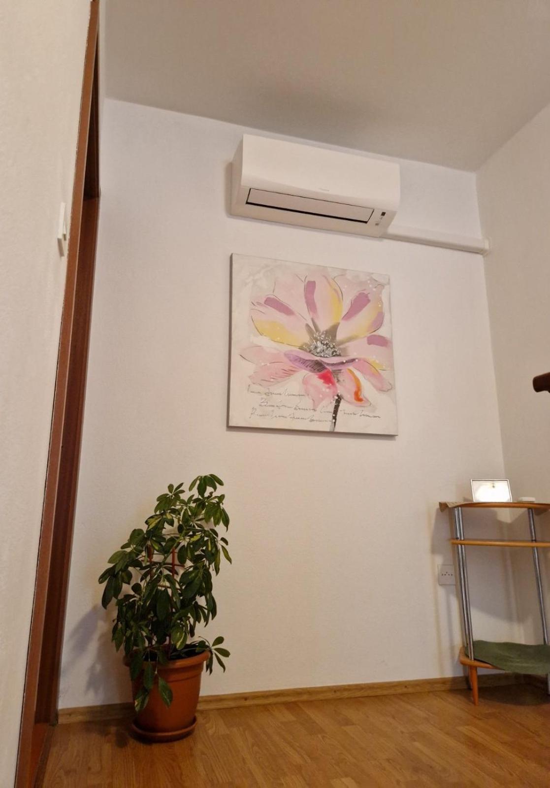 קראליביצה Apartman Seka מראה חיצוני תמונה